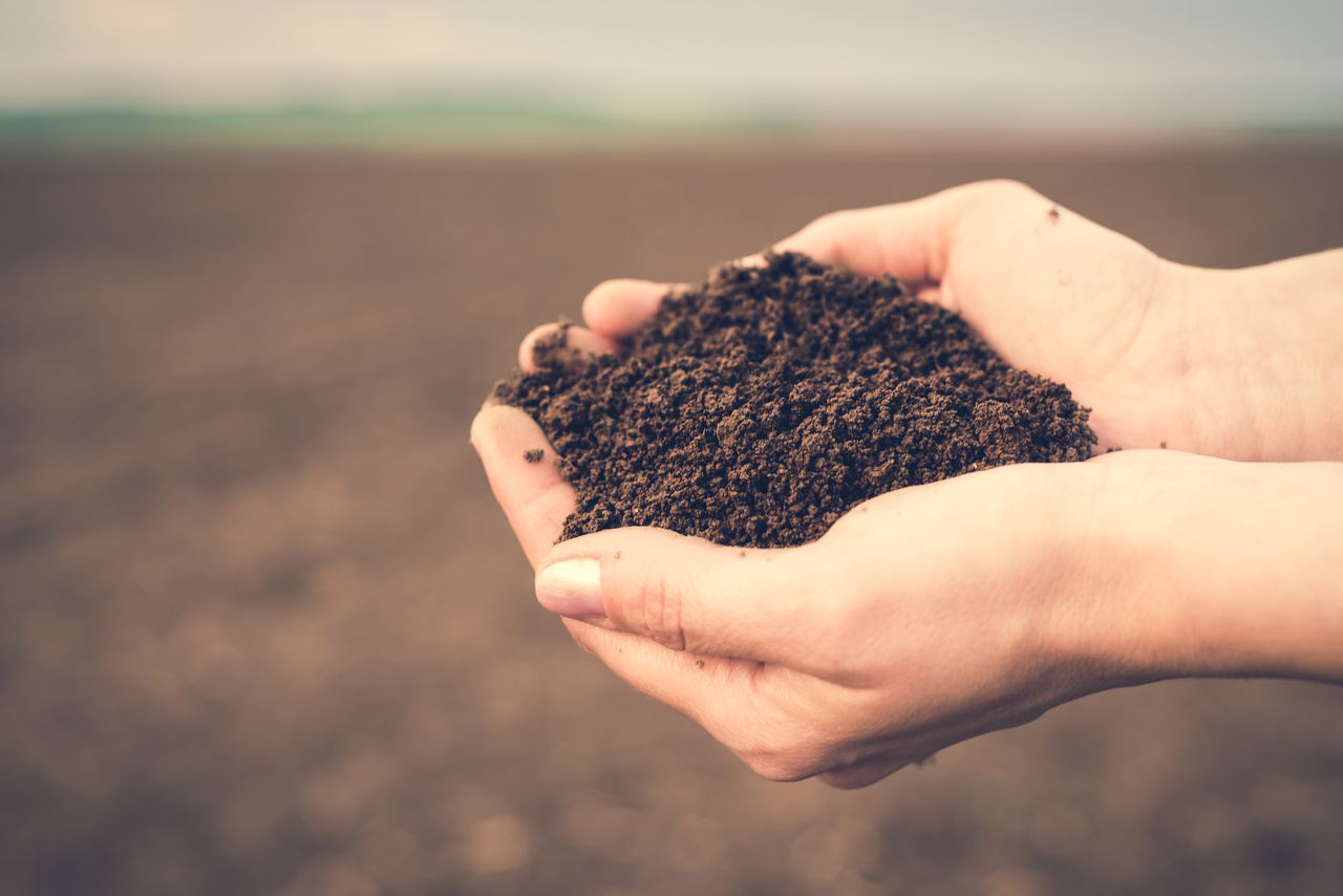 Działka budowlana – co warto wiedzieć?